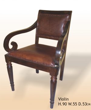 violin