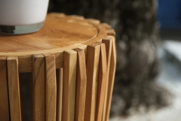 The Secret Behind Indonesia's Legendary Teak: Why It's the World's Best!