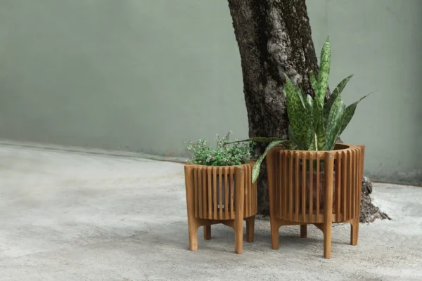 More Than Furniture: The Untold Story of How Indonesian Teak Empowers Local Communities!